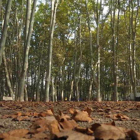 La Lleona アパート ジローナ