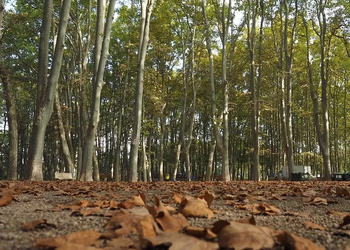 La Lleona Apartment Girona